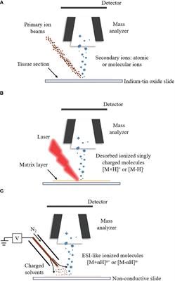 Applications of spatially resolved omics in the field of endocrine tumors